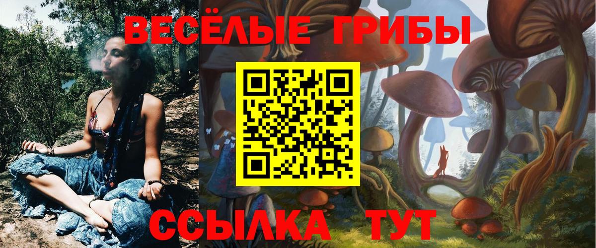 Псилоцибиновые грибы мухоморы  Вход с VPN  Грязи  Псилоцибиновые грибы прущие грибы 